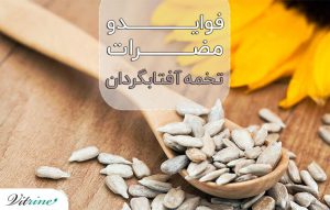 تخمه آفتابگردان