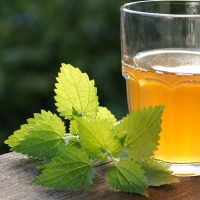 گزنه تصفیه کننده خون در طب سنتی - تصفیه کننده خون در طب سنتی