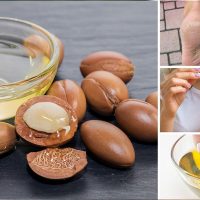 تاثیر آرگان بر پوست و مو - فواید روغن آرگان